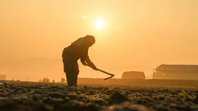 Mevsimlik tarım işçilerinin ulaşım sorunları neden meclis gündeminde?