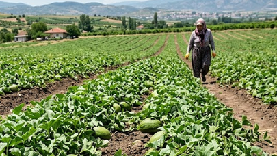 Sadece dededen kalma tohumla üretiyorlar : Almak için şehirlere akın ediyorlar