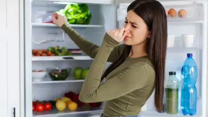 Geride en ufak bir koku bırakmıyor : Buzdolabına bir bardak koyma yetecek