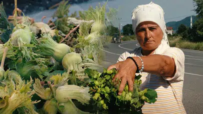 Fındık sezonu başladı : Tezgahlarda vatandaşlarla buluştu