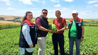 Tekirdağ'da ilk karpuz hasadı başladı