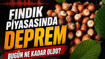 Fındık piyasasında deprem etkisi : Bugün ne kadar oldu?