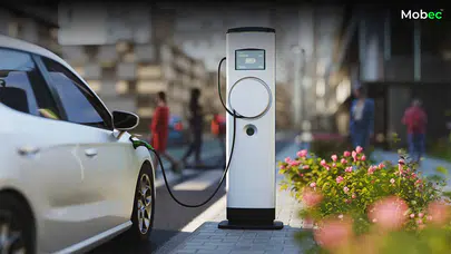 Bağlantılı elektrikli araçların veri gizliliği riskleri nasıl yönetilebilir?
