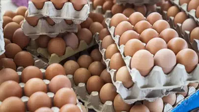 Yumurta fiyatlarında ani artış nedenleri neler olabilir?