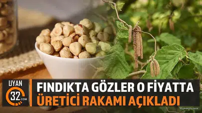 Fındıkta yeni alım fiyatı beklentisi yükseldi : Üreticiden net rakam