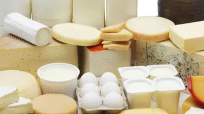 Süt ve süt ürünlerinde bakteri varlığını nasıl anlayabiliriz?