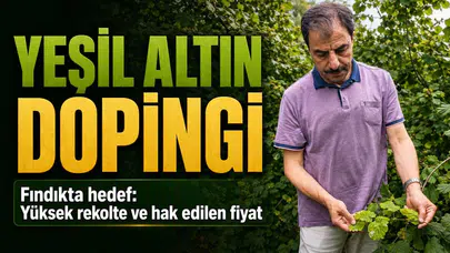 Fındıkta yeni sezon beklentileri neler? Üreticiler taban fiyatı merakla bekliyor