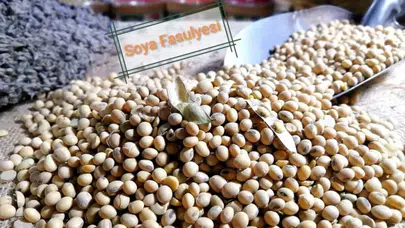 Soya fasulyesi fiyatları neden 26 ayın en yüksek seviyesine ulaştı?