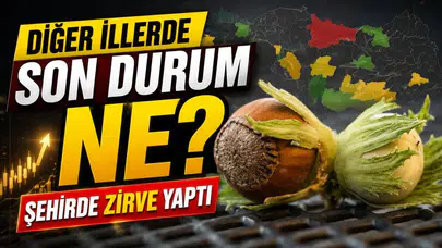 Fındık fiyatları bu şehirde zirve yaptı ! Diğer illerde son durum ne?