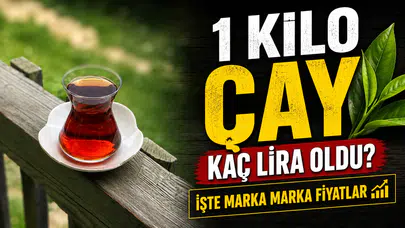 Sigara dumanı nanoplastiklerin akciğere zararını artırabilir