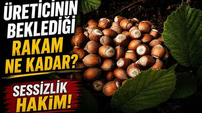 Fındık piyasasında durgunluk mu hakim? Üreticinin beklentisi nedir?