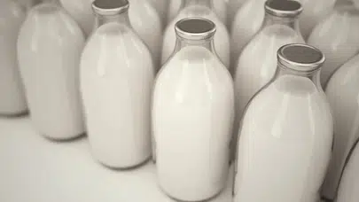 Manda yetiştiriciliği ve manda sütü fiyatları neden dikkat çekiyor?