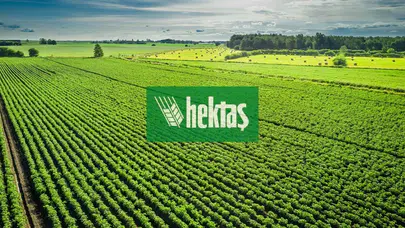 Hektaş (HEKTS) hisseleri için hedef fiyat ne olacak ve teknik analiz nasıldır?