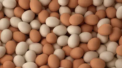 Yumurta alırken dikkat edilmesi gerekenler nelerdir?