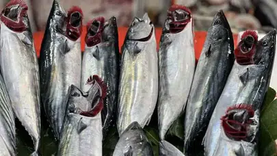 Çakallarla Dans 6 filmi nerede ve ne zaman çekildi?