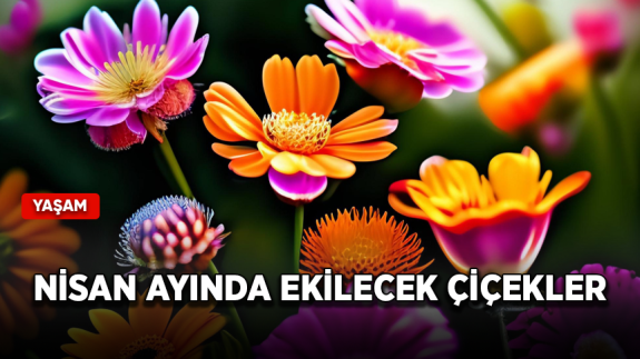 Nisan ayında hangi çiçekler ekilir?