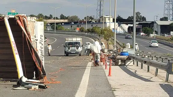 Mersin'de arı yüklü kamyon devrildi: Binlerce arı yola saçıldı