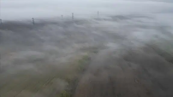 Tekirdağ'da yoğun sis: Göz gözü görmüyor!