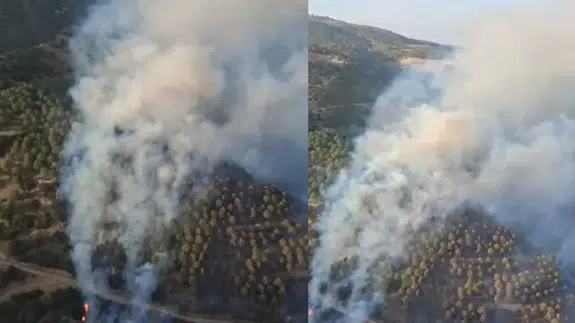 Aydın ve Kütahya’daki orman yangınlarına OGM'den yoğun müdahale!