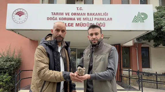 Adana’da yaralı bulunan kerkenez tedavi altına alındı