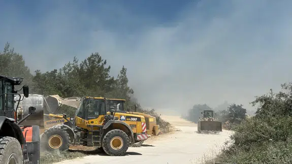 Bursa'da orman yangını çıktı!