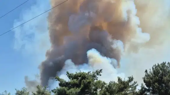 İzmir Bornova'da yangın