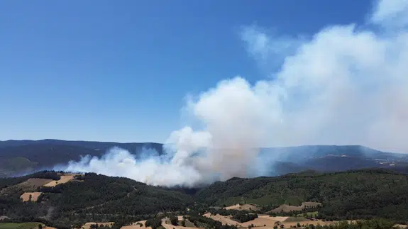 Sakarya Taraklı'da orman yangını! Alevler yükseldi