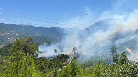 Alanya'da orman yangını: Ekiplerin müdahalesi sürüyor