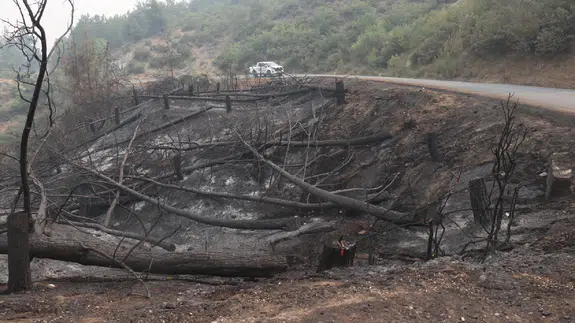 Sakarya orman yangınında alevlerin arasında kalan kadın böyle kurtarıldı!