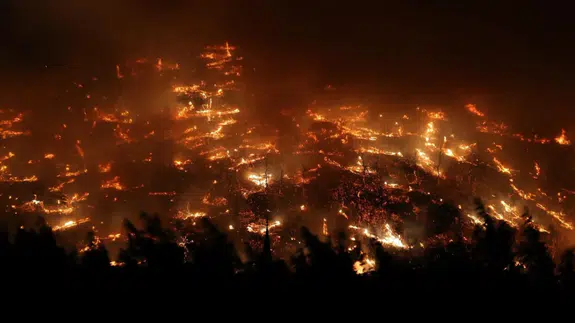 Bursa'nın Gürsu ilçesi alevlere teslim oldu!