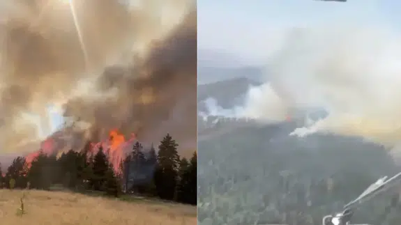Çankırı'da ormanlık alanda yangın çıktı!