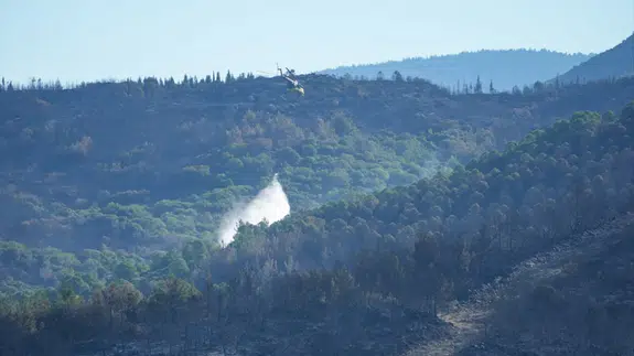İzmir'deki orman yangınları 3'üncü gününde