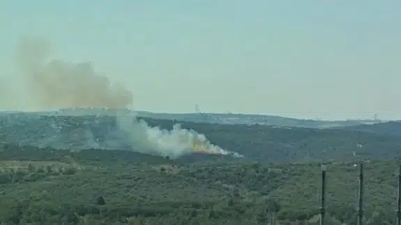 Sultangazi Kent Ormanı'nda yangın