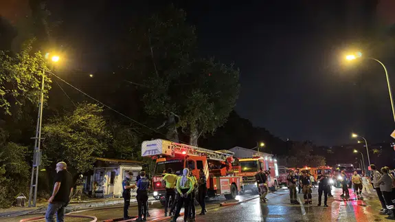 Beykoz'da ormanlık alanda yangın çıktı