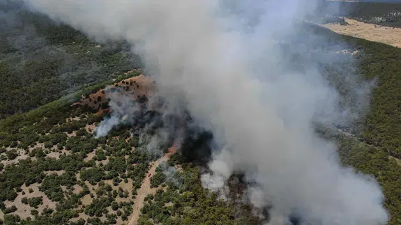 Eskişehir’deki orman yangınında 12 görevli yaralandı: Alevlerin içinden çıkan personel gözyaşlarına boğuldu