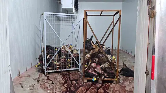 Gemlik’te skandal: Bozulmuş etler kelle paçaya mı karıştı?