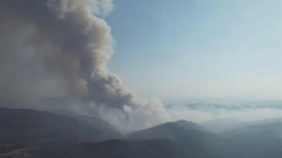 Bursa'da orman yangını yeniden başladı