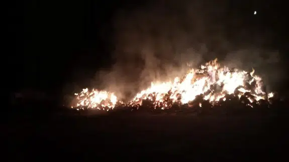Erzurum Aşkale'de ot yangını: Kışlık yemler küle döndü