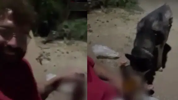 Ankara'da akılalmaz olay: Köpeğine zorla alkol içirdi