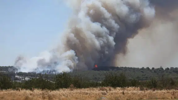 Çanakkale Dardanos'ta orman yangını!