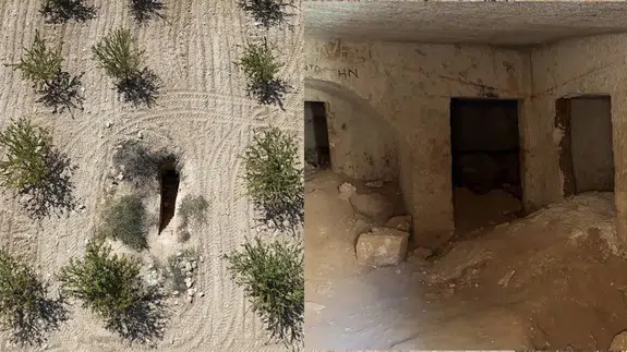 Fıstık tarlasında binlerce yıllık kaya mezarı!