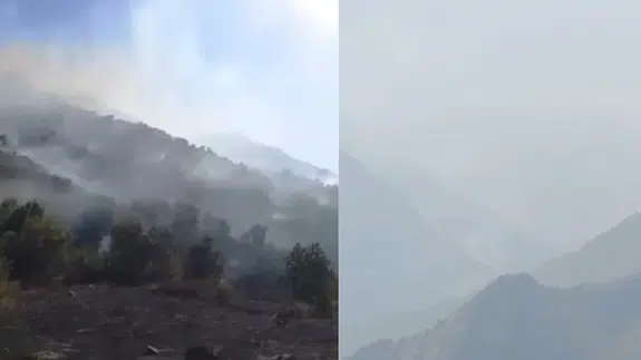 Hakkari Yüksekova'da orman yangını!