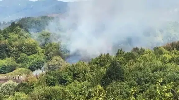 Bartın'da orman yangını! Ekipler müdahale ediyor