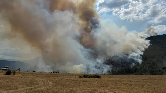 Karabük'te kontrol altına alınan yangın yeniden alevlendi!