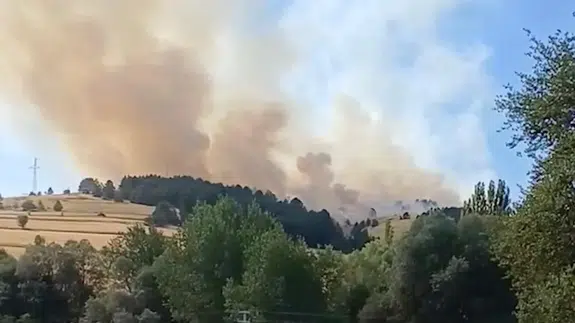 Çankırı'da orman yangını: Ekipler müdahale ediyor