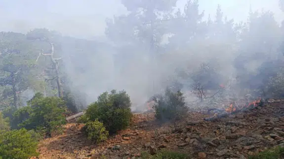 Denizli'de orman yangını