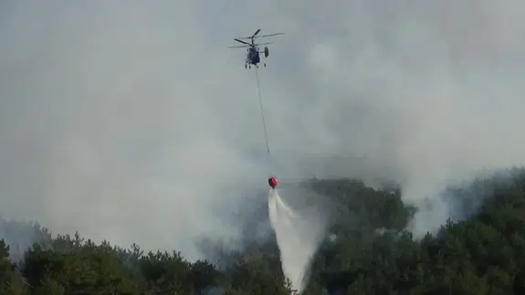 Bolu'daki orman yangını kısmen kontrol altında!