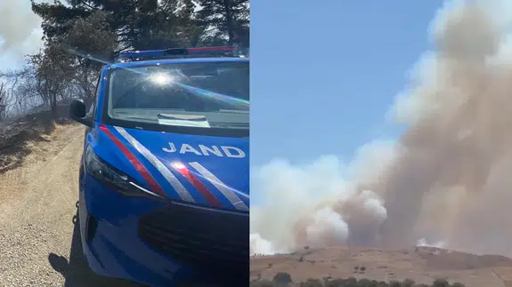 İzmir Seferihisar'da orman yangını!