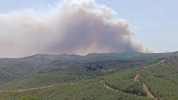 Mersin'de orman yangını!