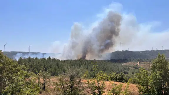 Çanakkale'de orman yangını çıktı!